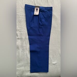 Rafaella Blue Stretch Crop Woman's Sz 16 NWT